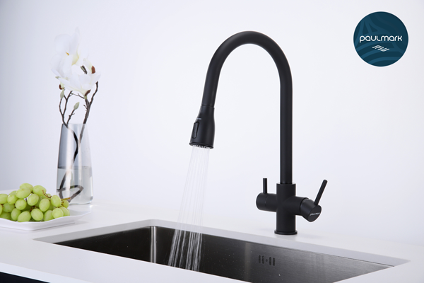 Подключаем многофункциональный смеситель LANGE от Paulmark Подключаем многофункциональный смеситель LANGE от Paulmark