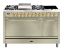 Кухонный блок P12FIQNE3/AWG